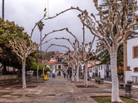 Teror